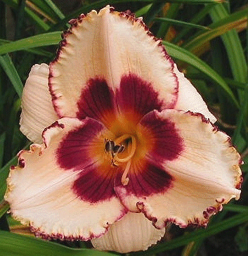 Photo of SENECA WINE TRAIL